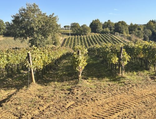 Tenuta Licinia: The Soul of Tuscany Through Stone and Soil!