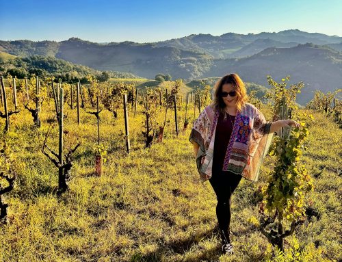 Reviving the Hills: The Renaissance of Ronchi di Castelluccio