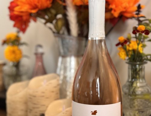 Discovering Tenute Tomasella: A Love Letter to Italian Wine