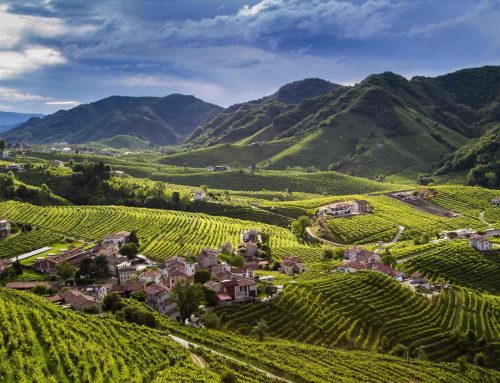 Prosecco, Elevated: Why This Iconic Sparkling Wine Deserves a Permanent Place at the Table