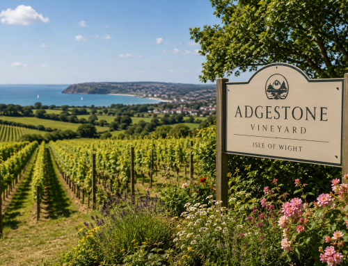 A Wine Lover’s Tour of the Isle of Wight: Vineyards, Tastings and Island Escapes
